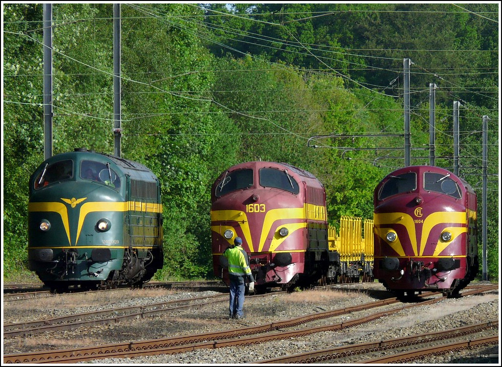 . Eine gute Regie war am 16.05.2009 wichtig, um die 3 Rundnasen [v.r.n.l.: 1604, 1603, 202.020 (ex 1602)] in Reih und Glied im Bahnhof von Ciney f�r die Fotografen aufzustellen. (Jeanny)

Die Geschichte der CFL BR 1600: Als 1954 die internationale Fahrplankonferenz die Mindestgeschwindigkeit von Schnellz�gen auf 80 km/h heraufsetzte, mussten die CFL schnellstens eine langfristige L�sung herbeisuchen, da ihre Dampflokomotiven mit 80km/h den neuen Normen nicht gewachsen waren. Man beschloss daher vier schwere Diesellokomotiven zu bestellen, eingebunden in einen schon get�tigten Gro�auftrag der belgischen Eisenbahnen. Eine Dreierkonvention wurde unterzeichnet zwischen der SNCB der CFL und der Lokschmiede Anglo-Franco-Belge in La Croy�re (B), welche vorsah, da� die vier Maschinen , die urspr�nglich f�r die SNCB bestimmt waren, priorit�r an die CFL geliefert wurden. AFB baute die Lokomotiven nach Pl�nen von General Motors und der schwedischen Lokschmiede NOHAB. 

Die erste Staatsbahn die sich komplett von ihren Loks trennte war die CFL. Nachdem bereits im Jahr 1985 die 1601 abgestellt worden war, wurden mit dem Winterfahrplan 94/95 auch die restlichen 3 Maschinen abgestellt. Einzig die 1604 blieb im Land. Sie geh�rt heute dem luxemburgischen Kulturministerium und wurde zum technischen Denkmal erkl�rt. Nach 4 j�hriger Restauration wurde die Lok 1999 eingeweiht. Nun steht die 1604 als funktionst�chtige Museumslokomotive zur Verf�gung und soll die Entwicklung der Eisenbahn in den 50er Jahren festhalten. Sie steht jetzt f�r Sonderz�ge jeglicher Art zur Verf�gung. 

Die 1603 erlitt 1958 bei Bascharage (L) einen schweren Unfall. Nach dem sie eigentlich schrottreif war, wurde sie aber wieder vollst�ndig hergerichtet. Nach der Instandsetzung war der Lokkasten etwa 30 cm k�rzer als bei den anderen drei Loks. Um auch nach Trier fahren zu k�nnen bekam die Lok 1961, wie ihre Schwestern, ein drittes Spitzensignal auf ihre runde Nase gesetzt. Bei der CFL wurde sie Ende 1994 au�er Dienst gestellt. Nachdem sie zwischenzeitlich bei der Vennbahn im Einsatz gewesen war, geh�rt sie heute dem belgischen Museumsverein PFT/TSP. 

Die 1602 wechselte nach dem Verkauf durch die CFL bereits zweimal den Besitzer. 1995 kam sie in den Besitz von M�rklin Belgien, die sie im Eisenbahn Museum in Treignes (B) hinterstellte. Die Lok blieb dort bis Anfang 1998 und kam nur sehr selten zum Einsatz. 1998 wurde sie dann an einen belgischen Privatmann verkauft, der sie in die H�nde des Museumsvereins PFT/TSP gab. Im Winter 98/99 wurde die 1602 ein zweites mal restauriert und meldete sich als SNCB 202.020 zur�ck. Diese Nummer h�tte die Lok schon 1955 erhalten, w�re sie nicht in letzter Minute vor der Auslieferung an die CFL verkauft worden.

