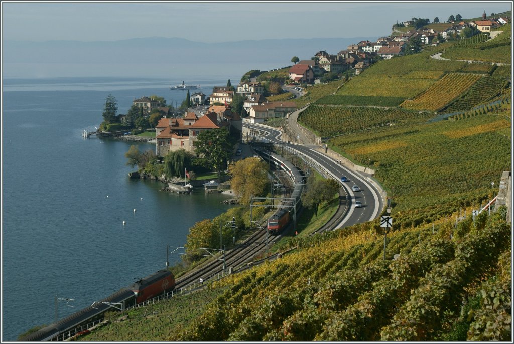 Ein Blick von oberhalb von St-Saphorin Richtung Rivaz. 
20.10.2012