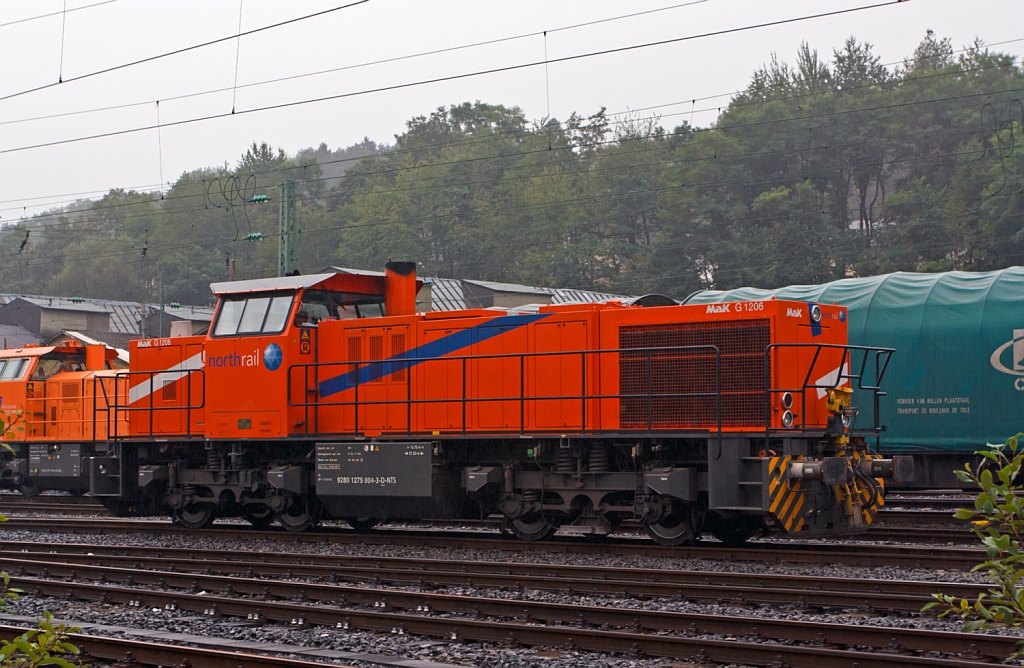 Im Regen - Die northrail MaK G 1206 (275 804-3), vermietet an die HGB Hessische G�terbahn (Buseck), abgestellt am 14.09.2012 in Betzdorf/Sieg. Die Lok wurde 1999 bei Vossloh unter der Fabriknummer 1001013 gebaut und an Vossloh Schienenfahrzeugtechnik (Einsatz als Mietlok) geliefert. Sie hat die NVR-Nummer  92 80 1275 804-3 D-NTS, sowie die EBA-Nummer  EBA 00B01 A004 .