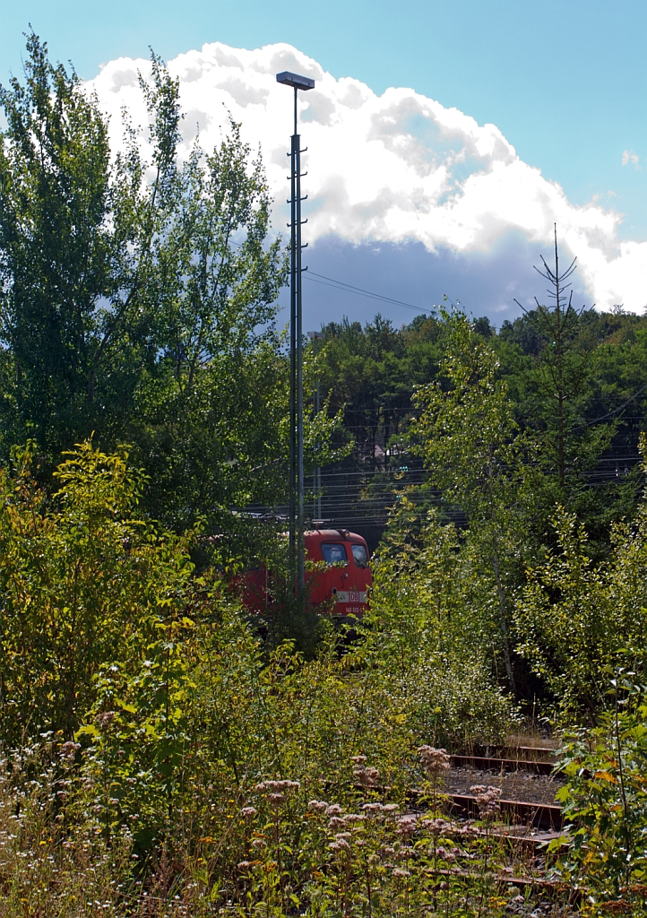 Motiv stark verdeckt - Aber das Bild hat was - Die 140 003-5 (ex E40 00) der DB Schenker Rail am 25.08.2012 in Betzdorf/Sieg etwas hinter den B�schen versteckt.