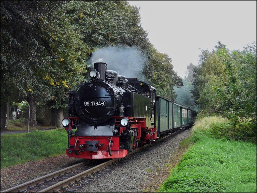 Nachdem der Rasende Roland den Kleinbahnhof in Binz verlassen hat, muss es sofort eine leichte Steigung in Angriff nehmen auf seiner Reise nach G�hren. Die Dampflok 99 1784-0 stammt aus dem Jahre 1953 ist eine Vertreterin der Neubaudampfloks der Deutschen Reichsbahn, welche die Entwicklung der Dampflok f�r Schmalspurbahnen abschlossen. Sie geh�rt zur Gattung der K 57.9 und wurde unter de Fabriknummer 32023 bei LKM in Babelsberg gebaut. 22.09.2011 (Hans)