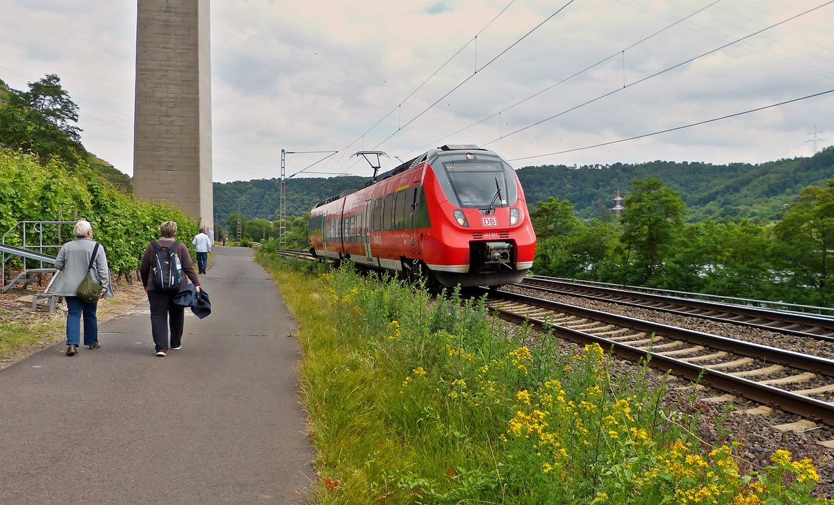 . Der  Baby-Hamster  442 501 / 442 001 (94 80 0442 501-3 D-DB / 94 80 0442 001-4 D-DB) ein kleiner zweiteiliger Bombardier Talent 2 der DB Regio mit dem Taufnamen  Oberbillig  f�hrt am 20.06.2014 als RB 81  Moseltal-Bahn  (Koblenz – Cochem – Wittlich – Trier) in Richtung Trier und wird mehr oder weniger von den Bahnfotografen in der N�he von Winningen beachtet. (Jeanny)