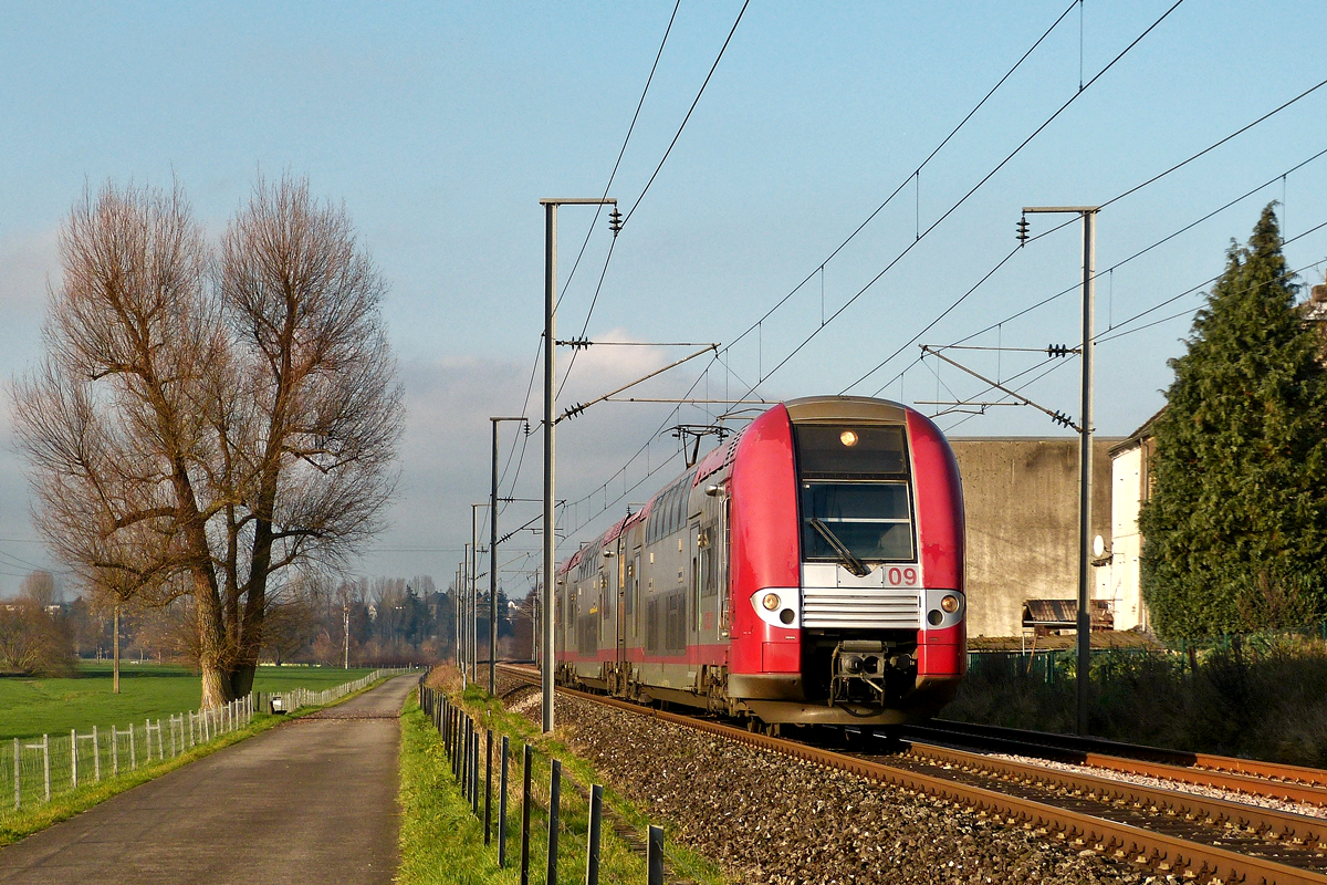 . Der sch�ne alte Baum am Wanderweg zwischen Lintgen und Mersch hat sich toll von seinem Radikalschnitt erholt und konnte zusammen mit der Computermaus Z 2209 am 14.12.2015 in der N�he von Rollingen abgelichtet werden. (Hans)