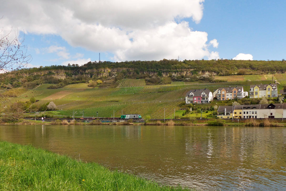 . Fr�hling an der Mosel - Im luxemburgischen Machtum hat man eine tolle Sicht auf die Obermoselstrecke, welche von einer SNCF Prima mit einem G�terzug am Haken kurz vor Nittel befahren wird. 17.04.2016 (Jeanny)
