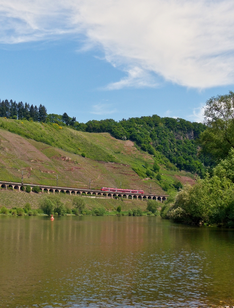 . Zu einem Hamster passt ein Hochkant Bild - Der vierteilige Bombardier Talent 2  Winningen  442 708 / 442 208 f�hrt am 13.05.2015 als RB 81  Moseltal-Bahn  (Koblenz – Cochem – Wittlich – Trier) �ber den Hangviadukt gegen�ber dem wundersch�nen Moselort P�nderich. (Jeanny) 