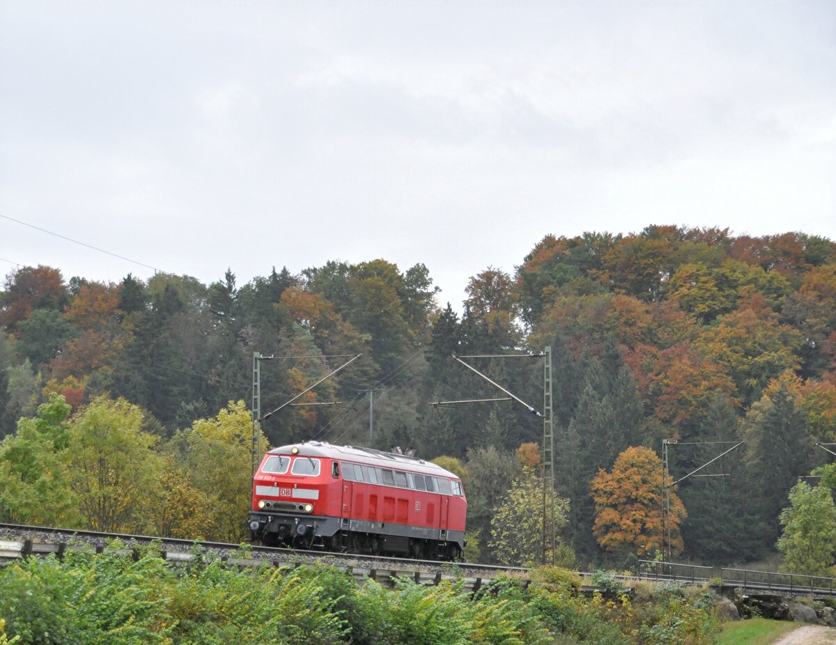 218 833-2 bei Urspring am 12.10.2012.