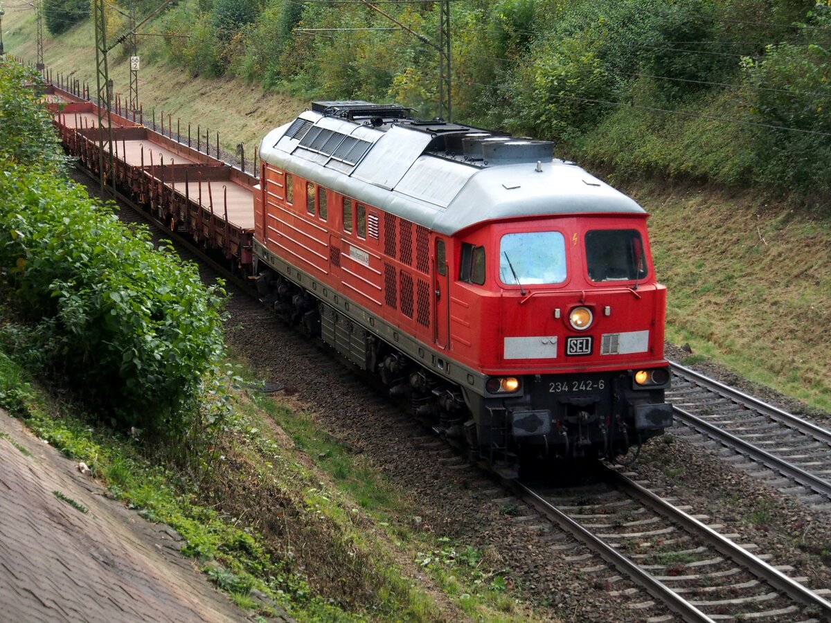 234 242-6 SEL mit Rungenwagen Leerzug auf der Geislinger Steige am 02.10.2021. 