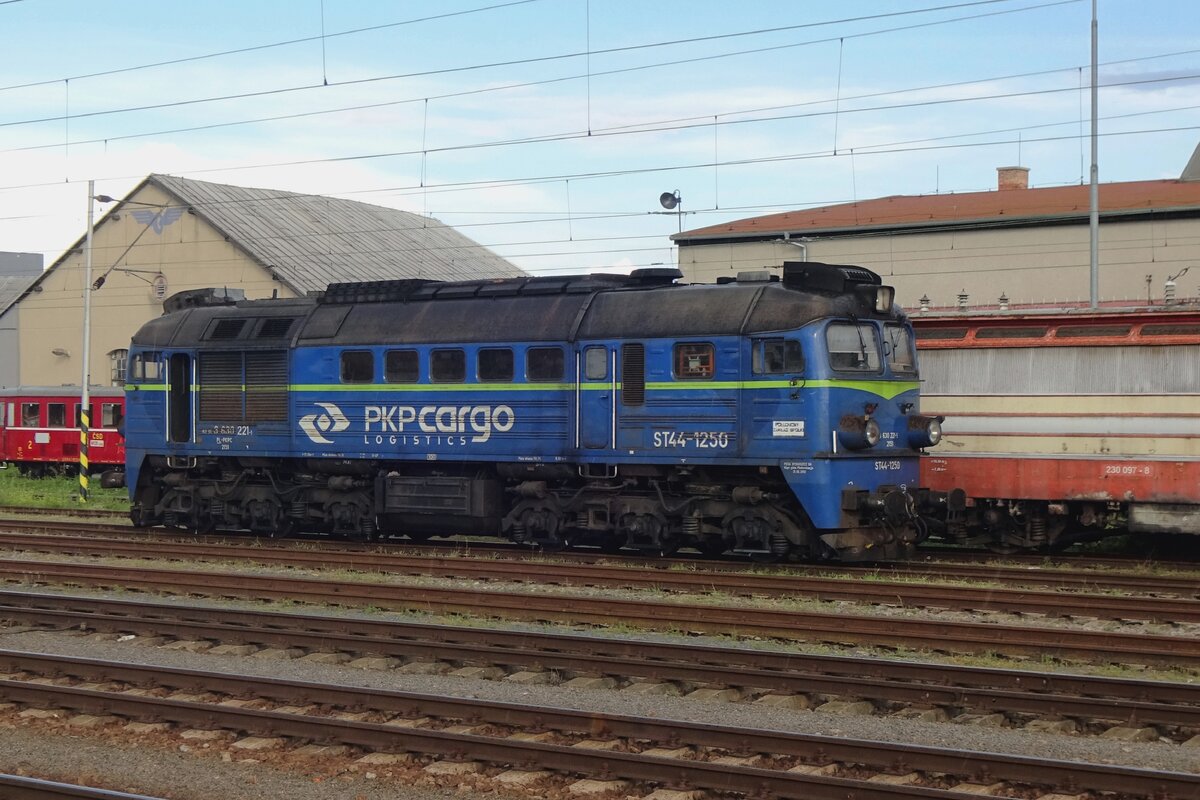 Am 27 Augustus 2021 pausiert ST44-1250 in Breclav.                     
