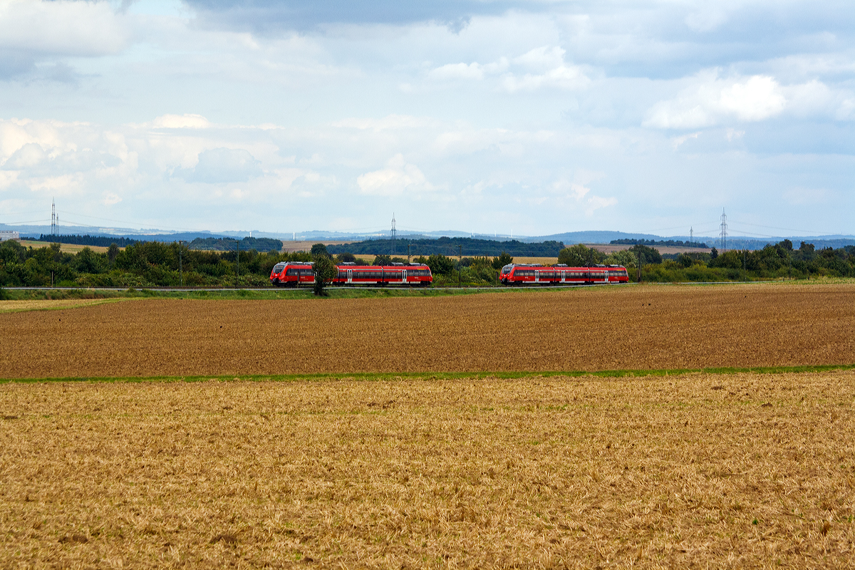 
Begegnung zweier Hamster....
Zwei dreiteilige Bombardier Talent 2 der DB Regio Hessen begegnen sich, beide fahren als RB 33. Der linke fährt die Verbindung Gießen – Friedberg – Nidderau – Hanau Hbf, der rechte der Gegenzug.