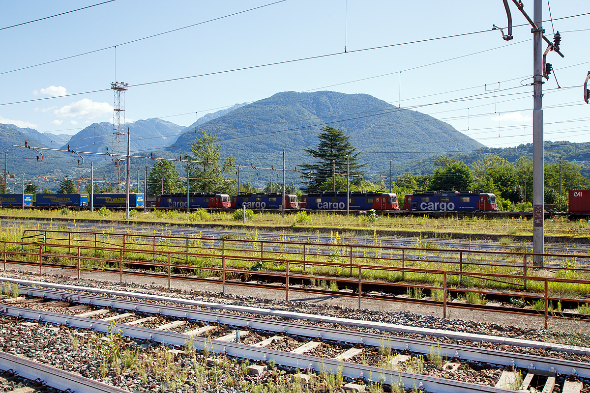 Das nennt man wohl eine Re 20/20...
Die SBB Cargo in Vierfachtraktion Re 4/4 - Re 6/6 - Re 4/4 - Re 6/6 fährt am 03.08.2019 mit einem langen KLV-Zug über die einspurige Güterzugumfahrung Domodossola zum Rangierbahnhof Beura-Cardezza (ex Bahnhof Domodossola II). Diese Strecke ist mit 15 kV 16,7 Hz Wechselstrom elektrifiziert.
