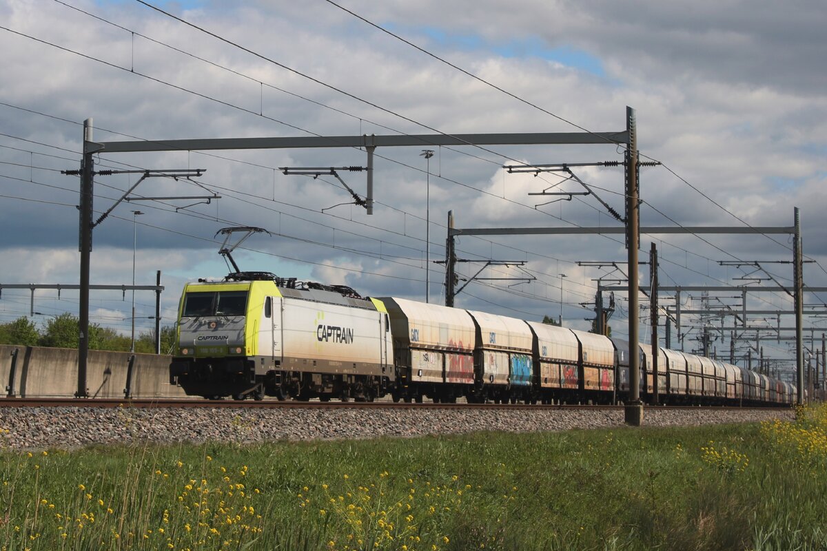 Der aus Bottrop komender Kohlezug wird am 18 April 2024 durch CT 186 155 durch Valburg gezogen.