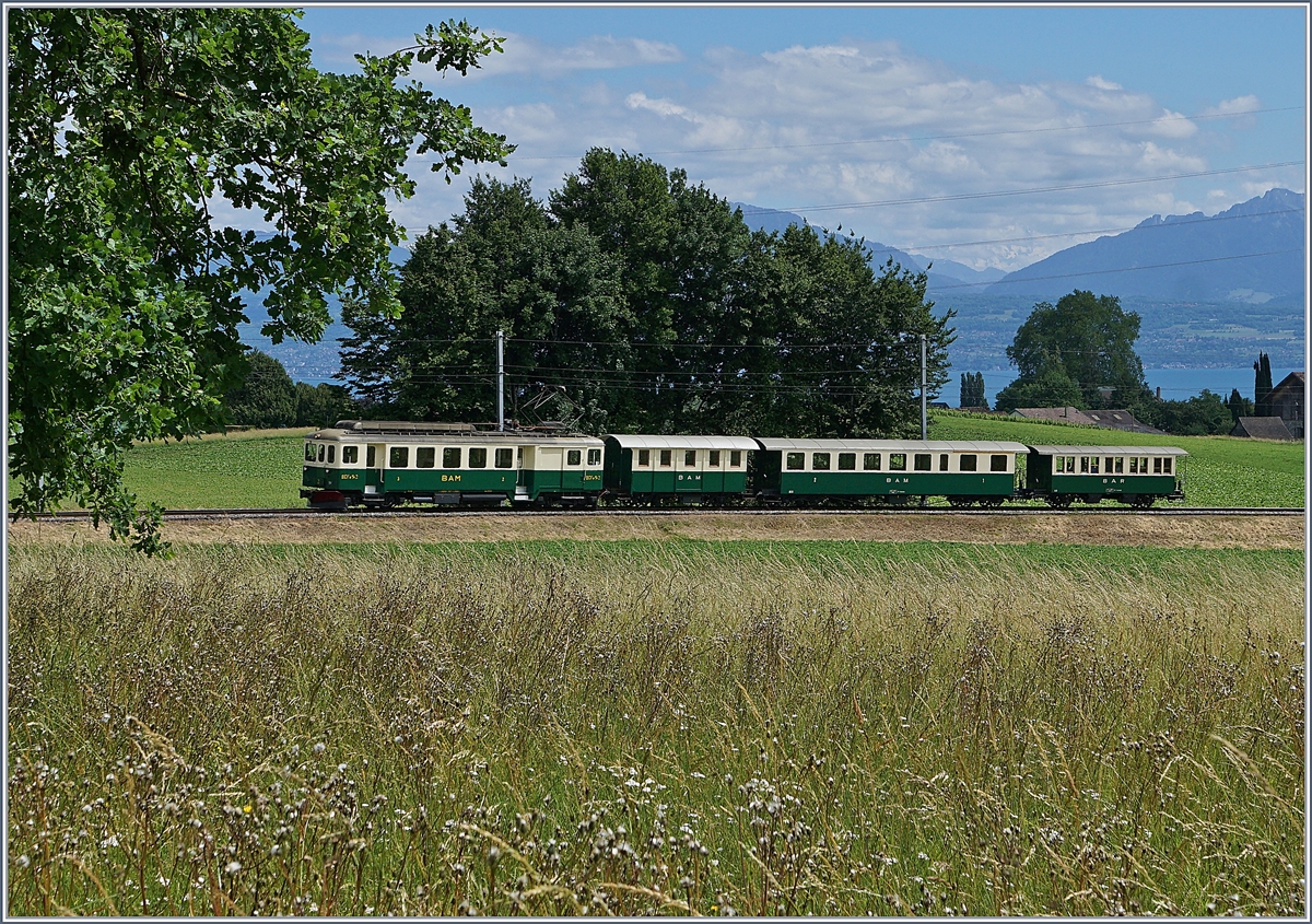Der BAM BCFe 4/4 N� 2 auf der Fahrt von Morges nach Apples kurz vor Vufflens le Ch�teau.
7. Juni 2017