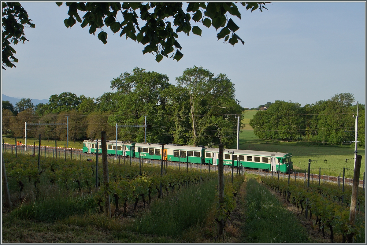 Der BAM Regionalzug 108 auf der Fahrt nach Bi�re zwischen Chigny und Vufflens-le-Ch�teau. 12.Mai 2015