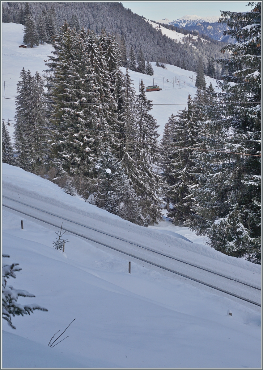 Der BLM Be 4/4 22 ist mit seinem Vorstellwagen auf dem Weg von der Grütschalp nach Mürren und wird in einigen Minuten Winteregg erreichen. 

16. Jan. 2024