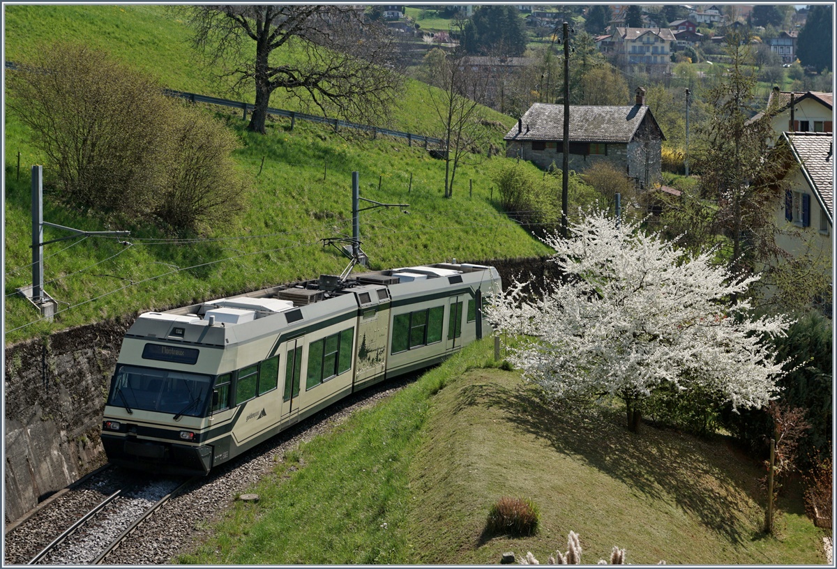 Der wohl letzte Fr�hling der CEV /MVR GTW Be 2/6 an der Riviera: Der CEV / MVR GTW Be 2/6 7004 als Regionalzug 2333 Les Avants - Montreux kurz vor Sonzier.
3. April 2007