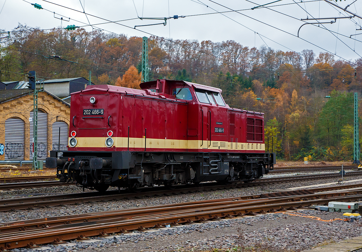 Die 202 466-9 (92 80 1202 466-9 D-SKLUS) der SKL Umschlagservice Magdeburg GmbH & Co. KG, ex DB 202 466-9, ex DR 112 466-8, ex DR 110 466-0, f�hrt am 20.11.2021 als Lz durch Betzdorf/Sieg in Richtung K�ln.

Die V 100.1 wurde 1972 bei LEW (VEB Lokomotivbau Elektrotechnische Werke „Hans Beimler“, Hennigsdorf) unter der Fabriknummer 11305 gebaut und als 110 466-0 an die DR (Deutsche Reichsbahn) ausgeliefert. Im Jahr 1979 erhielt sie einen 1.200 PS Motor und 1981 erfolgte der Umbau in DR 112 466-8, zum 01.01.1992 die Umzeichnung in DR 202 466-9, als diese ging sie dann zum 01.01.1994 zur DB AG bist zur Ausmusterung im Dezember 2000. Im Jahr ging sie an die SFZ - Schienenfahrzeugzentrum Stendal (heute ALS - ALSTOM Lokomotiven Service GmbH), wo die 100 km/h schnelle Lok eine Remotorisierung mit einem Caterpillar V-12-Zylinder-Viertakt-Dieselmotor mit Turboaufladung und Ladeluftk�hlung vom Typ CAT 3512 DI-TA (170 mm Bohrung / 190 mm Hub) mit einer Leistung von 1.082 kW / 1.472 PS bekam.

Weiterer Lebenslauf:
•	Oktober 2001 an boxXpress.de GmbH als 206 466-5
•	2005 an EMN - Eisenbahnbetriebe Mittlerer Neckar GmbH (Kornwestheim) als V 203 01, 2007 Vergabe der NVR-Nummer  92 80 1202 466-9 D-EMN
•	2009 an Uwe Adam EVU GmbH (Eisenach)  20  -  Gauner 
•	Im April 2017 ging sie dann an die SKL Umschlagservice Magdeburg GmbH & Co. KG. Die Gesellschaft hat ihren Hauptsitz auf dem Gel�nde des ehemaligen Schwermaschinenbaukombinates  Karl Liebknecht  (SKL) in Magdeburg-Buckau und betreibt dort auch die Eisenbahninfrastruktur.
