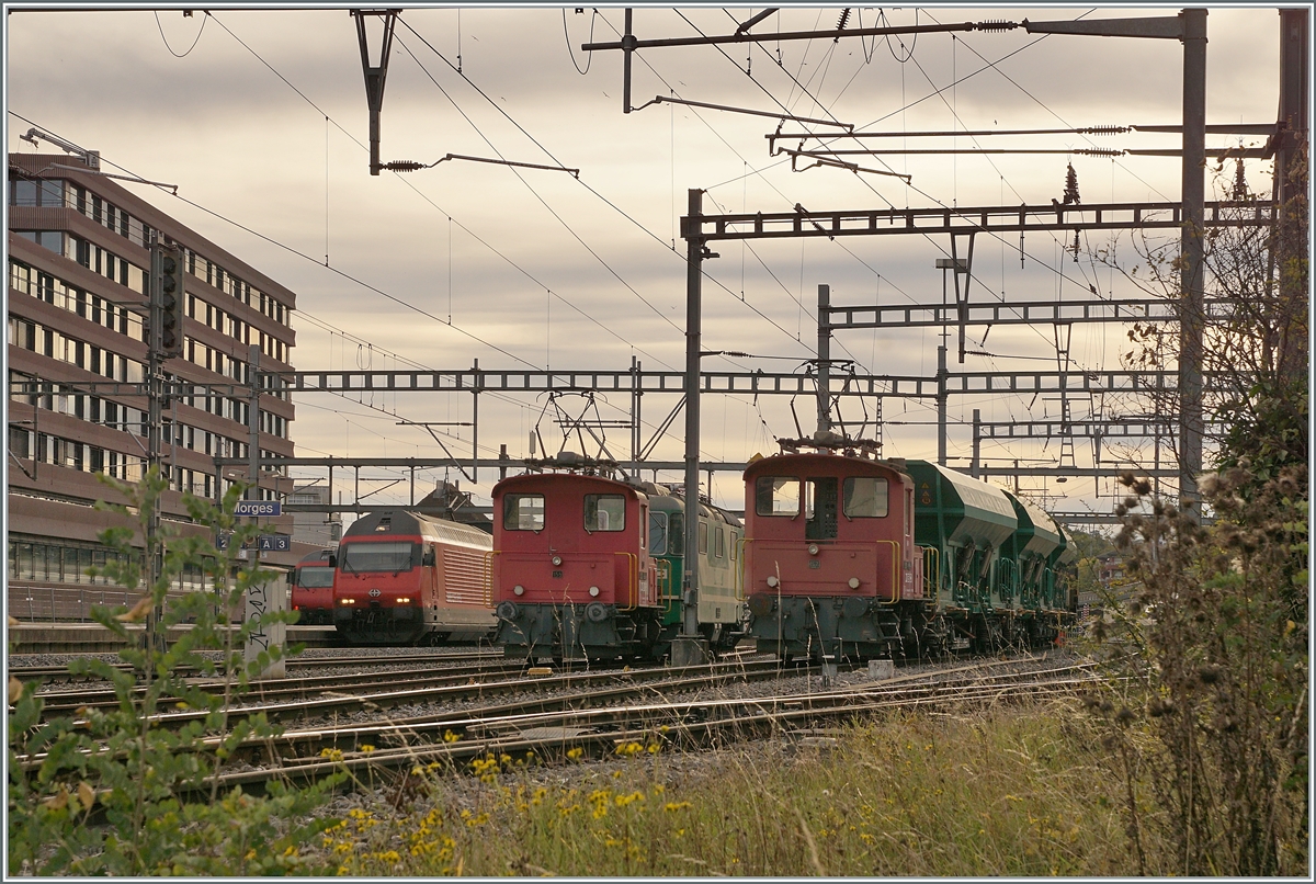 Die beiden BAM MBC Te 2/2 155 und 147 sind in Morges mit dem Man�ver f�r die Kiesz�ge Apples - Gland und Gland - Apples besch�ftigt. Im Hintergrund ist eine SBB Re 460 zu erkennen.

18. Okt. 2021 
