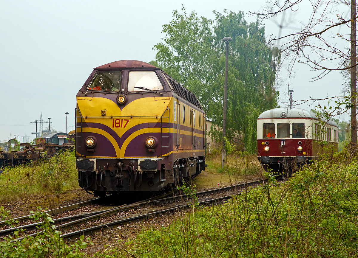 
Die ehemaligen CFL 1817 der Magdeburger Firma Power Rail GmbH (NVR-Nr. 92 82 0001 817-0 L-POWER) am 06.05.2017 beim Rangieren auf dem Familienfest der Magdeburger Eisenbahnfreunde im Wissenschaftshafen Magdeburg. Sie macht mit ihrem Zug das Gleis für den (rechts stehenden) Esslinger VT 95 80 0301 035-1 D-CLR(angeschrieben 95 80 0303 027-6 D-CLR ist falsch) der  Cargo Logistik Rail Service GmbH frei. 

Der Esslinger-Verbrennungstriebwagen wurde 1951 unter der Fabriknummer 23350 als T7 für die AKN gebaut. 
