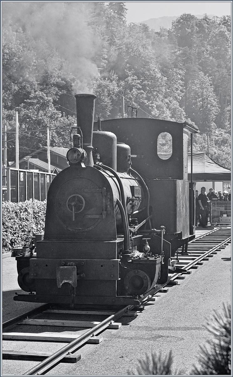 Die kleine, 1889 von Jung mit der Fabriknummer 59 gebaute G 2/2 bei den Schweizer Dampftagen in Brienz 2018 raucht gewaltig und f�hrt fleissig auf ihrem klein Streckenst�ck hin und her. 
30. Juni 2018 