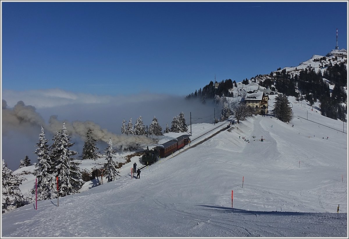 Die RB H 2/3 16 schiebt ihren Dampfzug Richtung Rigi Kulm und erreicht Rigi Staffel.
(24. Februar 2018) 