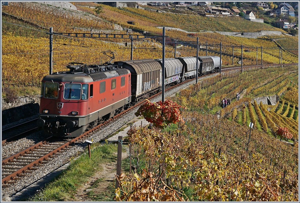 Die SBB Re 4/4 II 11183 mit einem kurzne Güterzug zwischen Grandvaux und Bossière auf der Fahrt Richtung Lausanne.
26. Oktober 2017