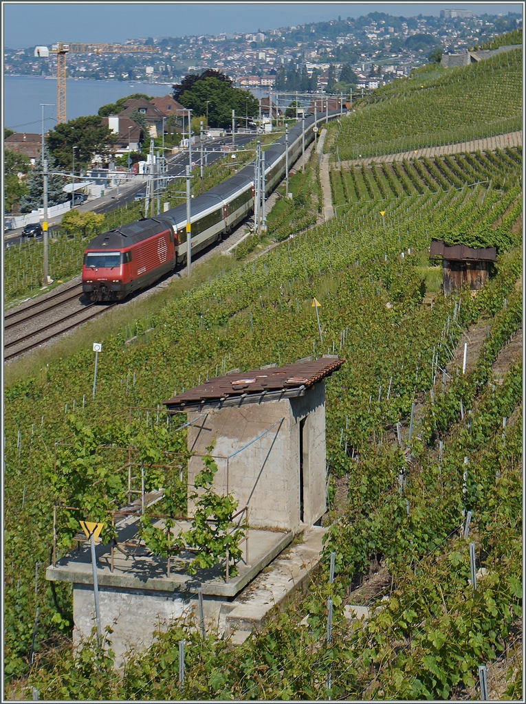 Die SBB Re 460 003-9 ist mir ihrem IR 1713 bei Cully unterwegs. 
2. Juni 2014
