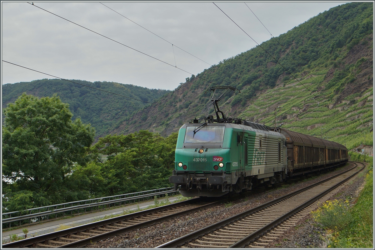 Die SNCF BB 37 015 mit einem langen Güterzug zwischen Kobern Gondorf und Winningen.
20. Juni 2014