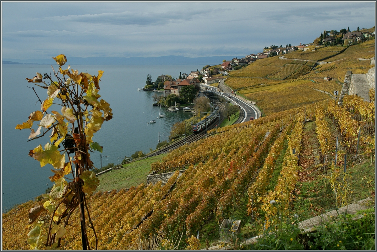 Ein Blick von einer Anh�he bei St-Saphorin gegen Rivaz. 
8. Nov. 2013