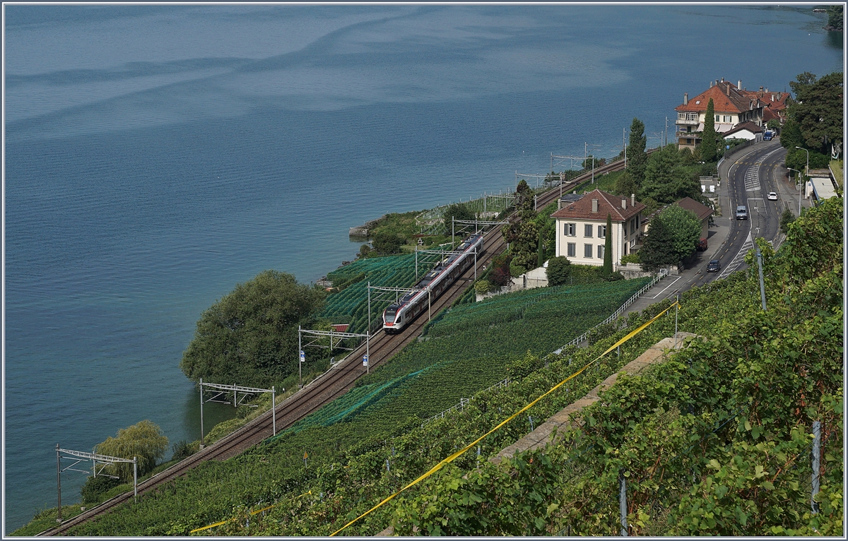 Ein Blick vom Wanderweg Cully-Rivaz auf die Strecke am See zeigt kurz vor Epesses einen Flirt auf der Fahrt Richtung Lausanne.
30. August 2017