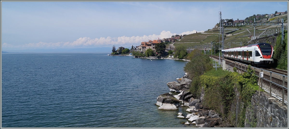 Ein  Flirt  und viel vom  Kleinen See . 
Bei Rivaz, den 24. April 2014