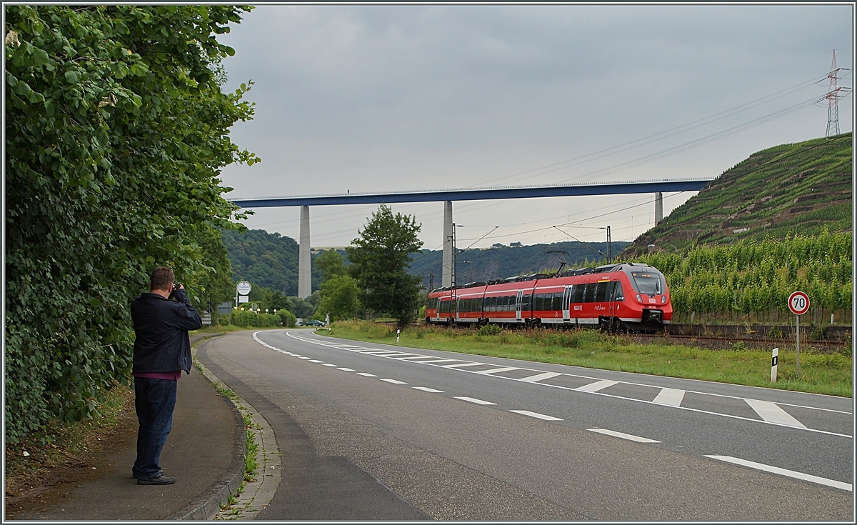 Ein  Hamster  bringt Farbe in den grauen Strassen-Alltag.
Zwischen Winningen und Kobern Gondorf, am 20. Juni 2014