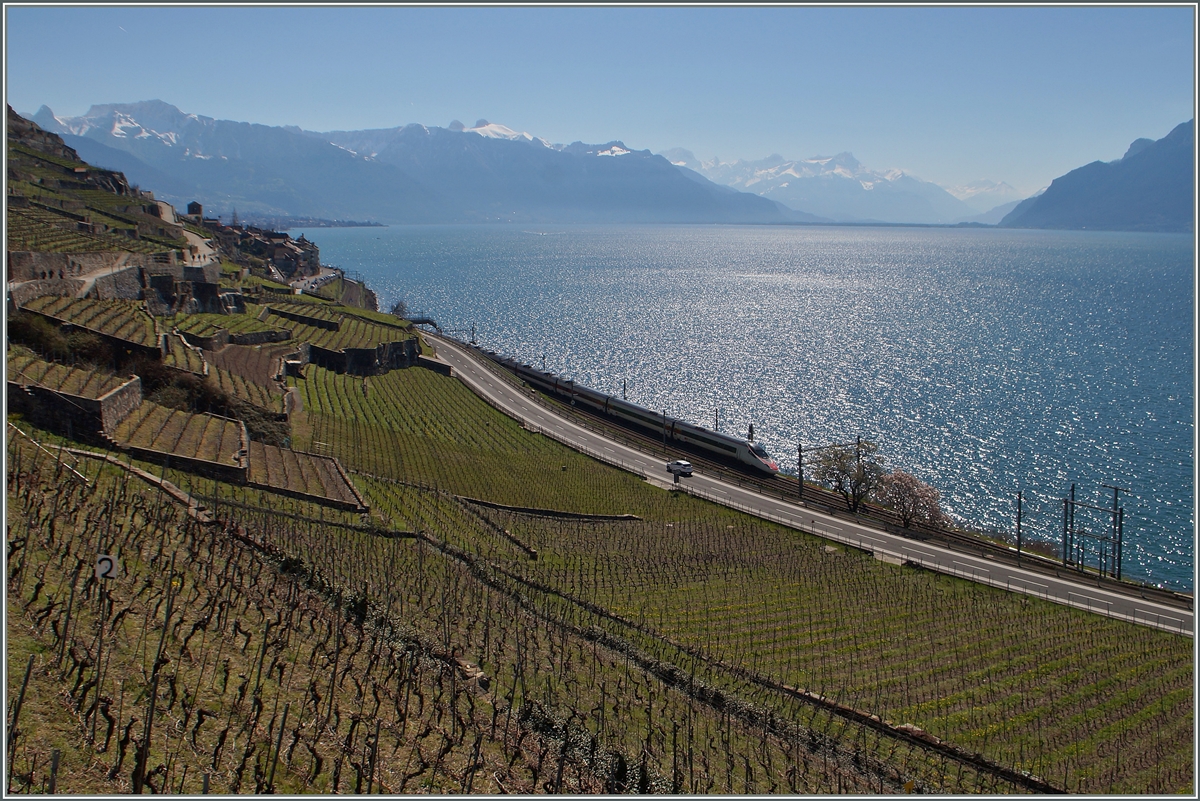 Ein SBB ETR 610 / RABe 503 auf dem Weg von Milanon nach Genève zischen St-Saphorin und Rivaz.
6. April 2015