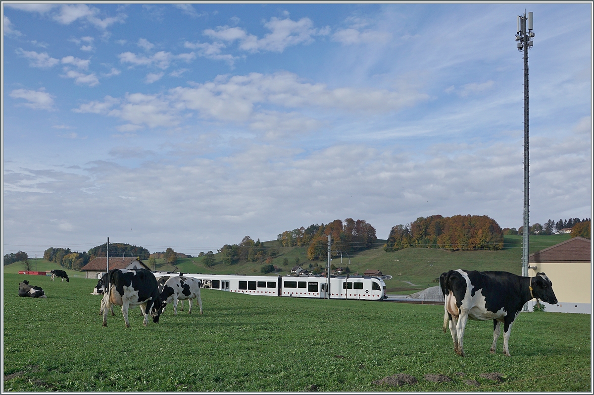 Ein TPF SURF ABe 2/4 | B | Be 2/4 erreicht La Verrerie und wird dabei von einigen landestypischen schwarz/weisen Linsenputzen verdeckt. 

22. Okt 2020