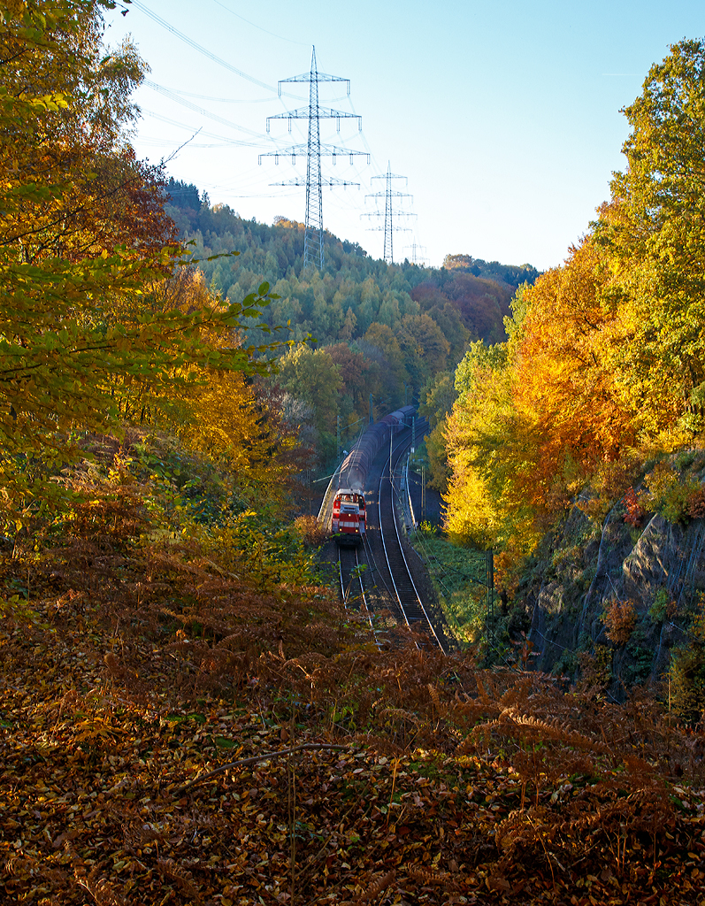 
Eine MaK On Rail DH 1004 (Umbau aus DB V100) Lok der Westerwaldbahn (WEBA) bringt einen Coilgüterzug (leer) aus Selters/Ww via Altenkirchen und Au/Sieg nach Betzdorf/Sieg, sie überquert gerade bei Scheuerfeld die Sieg, bevor es durch den 32 m langen Mühlburg-Tunnel geht. 