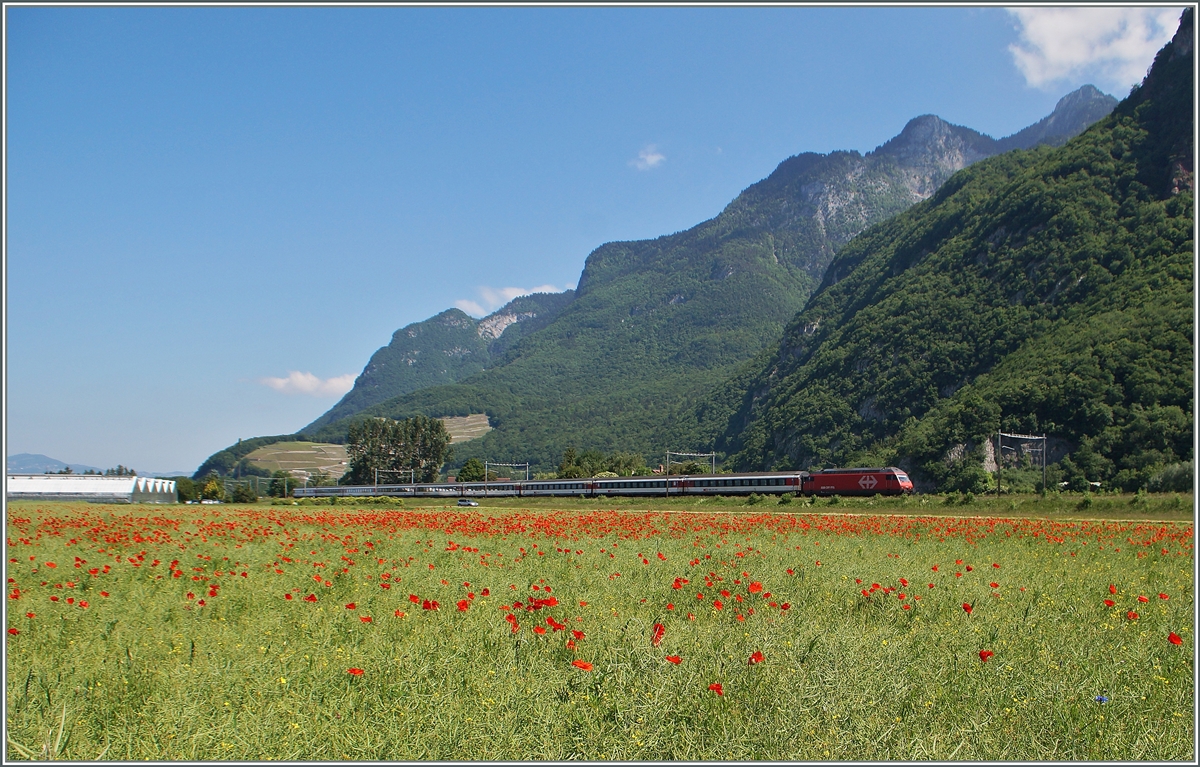 Eine Re 460 mit ihrem IR 1813 zwischen Roche VD und Yvorne. 
27. Mai 2015