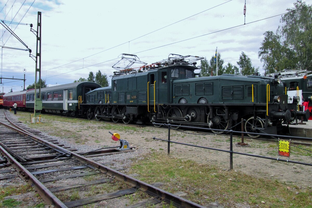 Helvetosuchus Borealensis (N�rdlicher Schweizerkrokodil) heisst dieser Spezies: am 12 September 2015 steht 14305 als gast in dass Schwedischen Eisenbahnmuseum in G�vle w�hrend das Feierwochenende  100 Jahren Elektrotraktion auf die Schiene in Schweden'. Nach eine Woche Schweden bekam 14305 auf den Ruckfahrt nach Basel ein massiver Schaden und musste/durfte beinahe 2 Jahre ins Bw von Meiningen verbleiben.