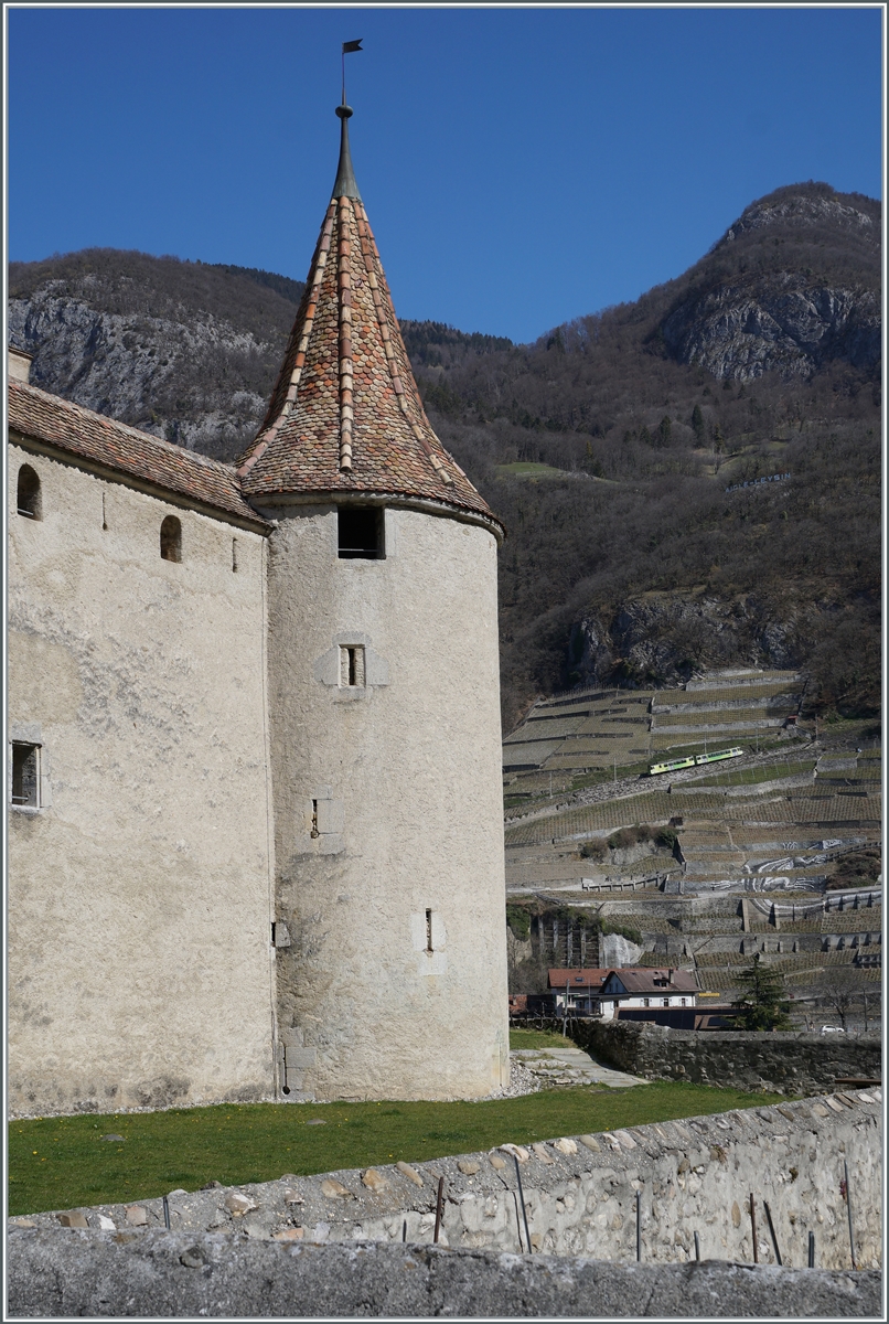 In der Ferne ist ein A-L Zug in den Weinbergen von Aigle unterwegs, im linken Bildteil un�bersehbar, das Schloss von Aigle.

30. M�rz 2021