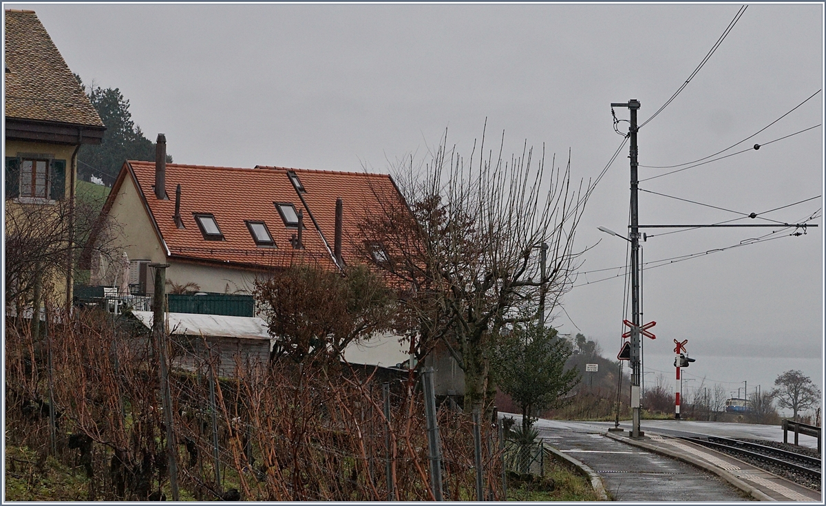 Ja was kommt denn da an diesem unfreundlichen Tag tief aus dem Tal den Berg hoch... Der MOB ABDe 8/8 4003 als Regionalzug 2330 Montreux - Chernex. Fotografenstandpunkt: die Haltestelle Planchamp. 
18. Jan. 2018