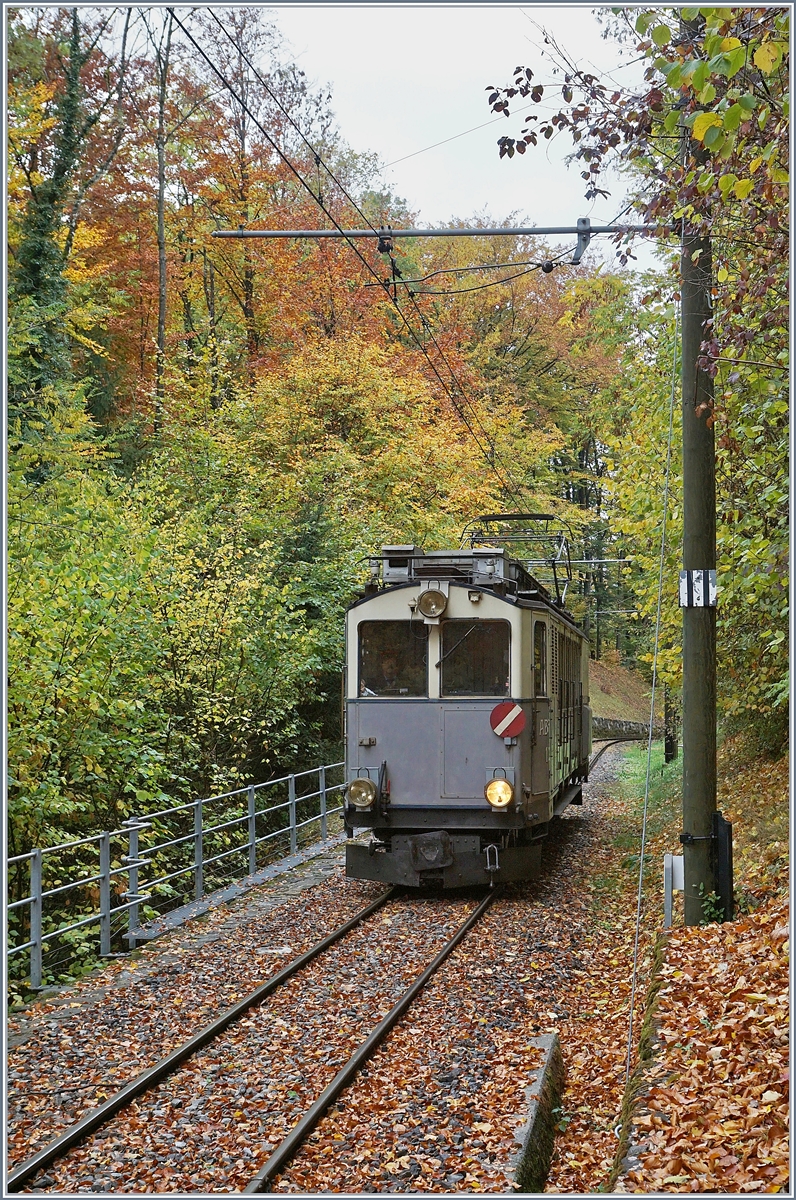 La Derni�re du Blonay - Chamby - das 50. Jahre Jubil�um beschliesst die Blonay Chamby Bahn mit einer Abschlussvorstellung: Der LLB ABFe 2/4 N� 10 kurz nach dem Viadukt der Baie de Clarens auf der Fahrt nach Blonay.
28. Okt. 2018