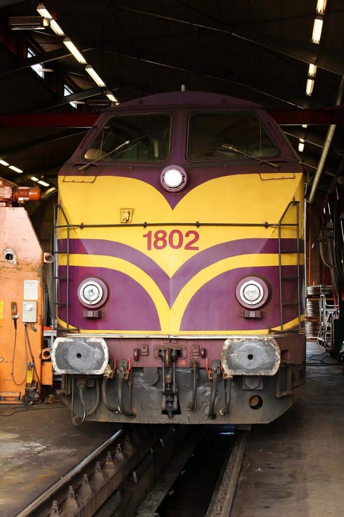 Mit freundlicher Unterstützung der CFL Cargo Werkstatt in Padborg konnte die vor einigen Tagen hergebrachte CFL 1802 aus Luxemburg in der Werkstatt fotografiert werden. 7-8 dieser Loks sollen hier aufgearbeitet werden und einige sollen als  Booster  bei Güterzügen verwendet werden. Padborg 31.08.2012