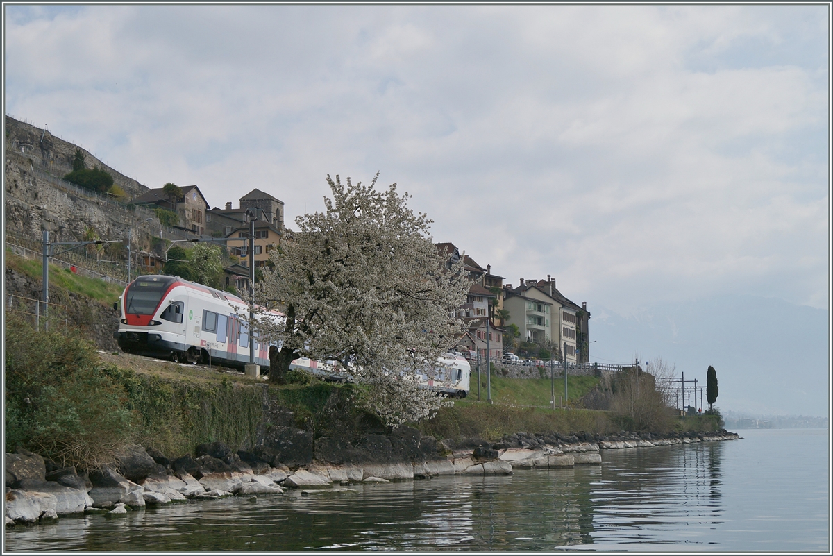 Motiv verdeckt, es sein denn, der Frühling sei das Motiv. 
Bei St-Saphorin, den 6. April 2014