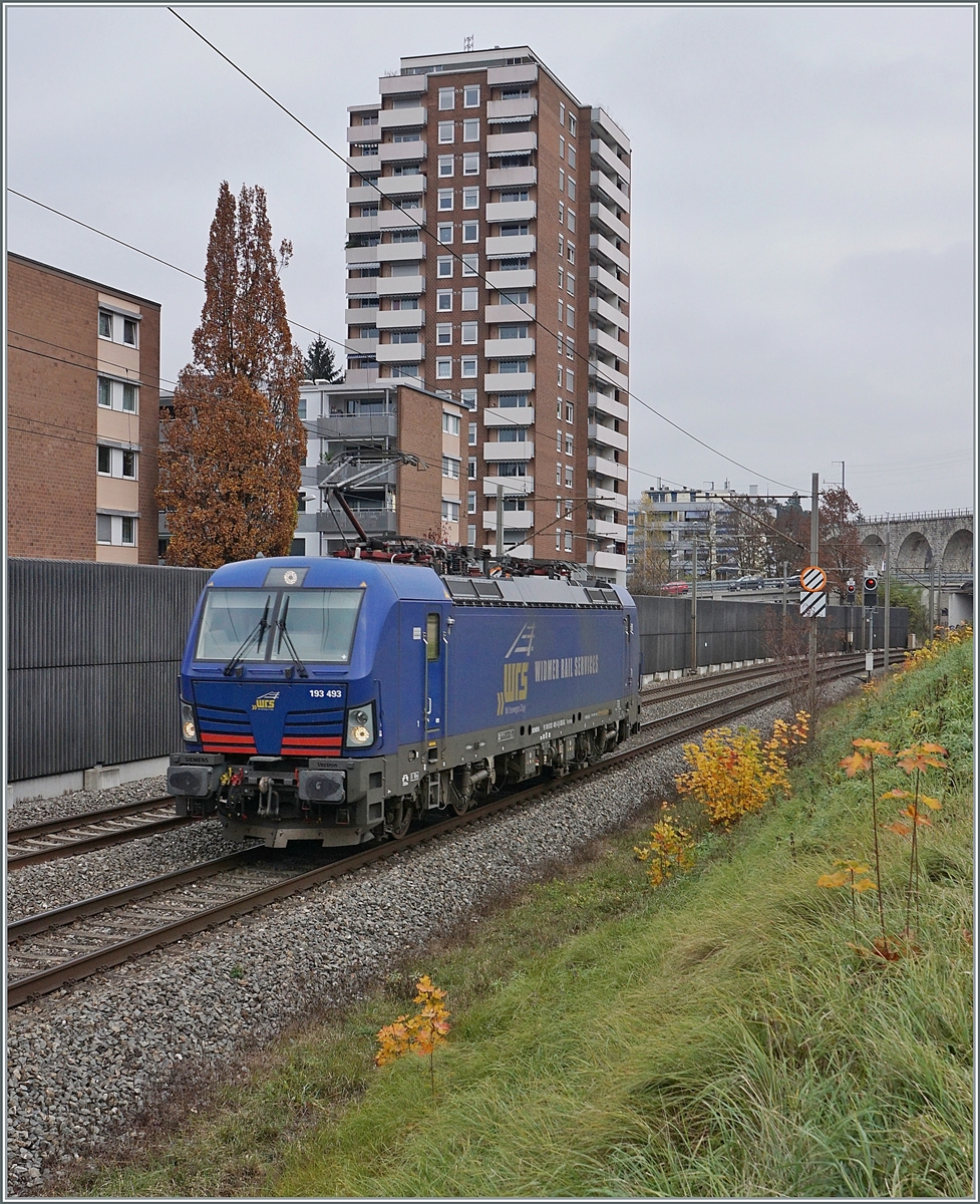 Nur 10 Minuten am Bahndamm gestanden... Nach dem Bild mit dem erwarteten RABe 521 117 wollte ich schon gehen, doch dass grüne Signal in Richtung Biel/Bienne war Grund genug, noch kurz zu warten und dann kam auch schon die WRS 193 493 die noch einen blauen Farbtupfer in den nebligen Tag setzte. Auch dieses Bild entstand zwischen Grenchen Süd und Lengnau.

11. November 2020