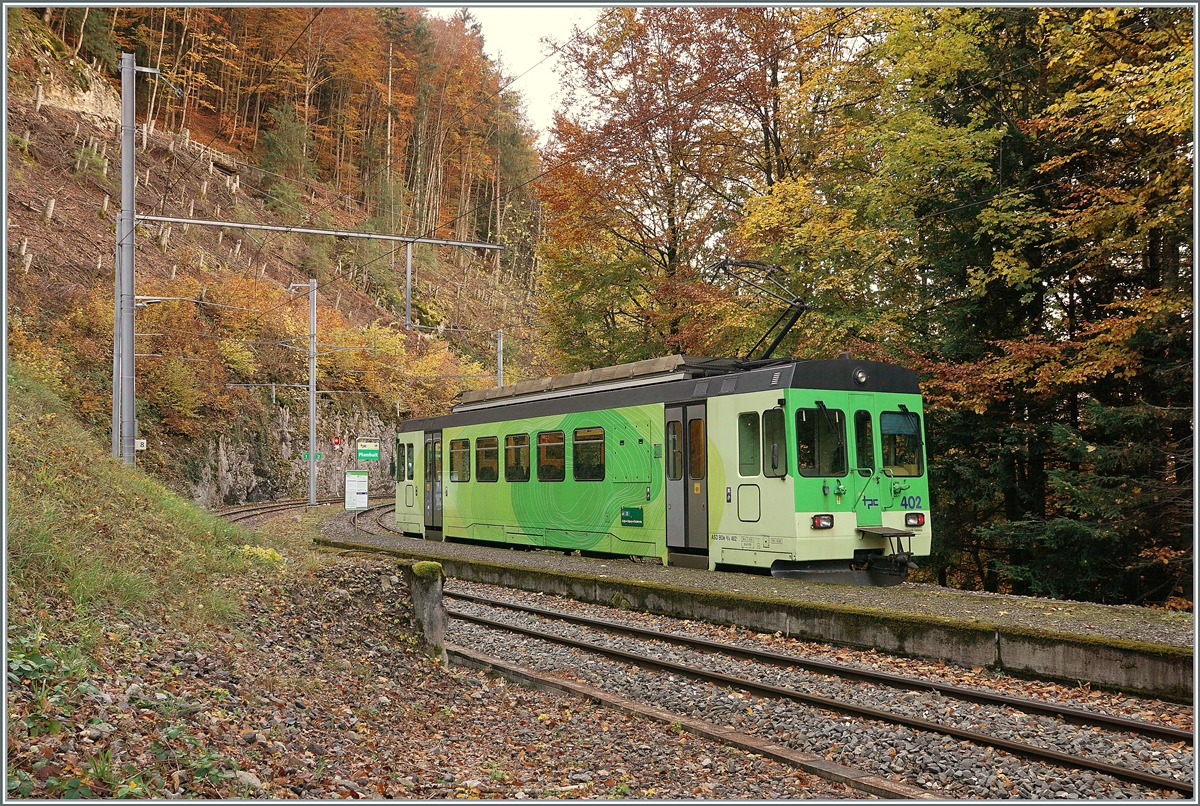 Plambuit - einer der zur Zeit zahlreichen ASD Endstationen... Unstabiles Gel�nde hat schon vor einiger Zeit die Strecke zwischen Exergilloud und Le S�pey (bzw. Les Planches) unterbrochen und nun hat die Forstwirtschaft beschlossen zwischen Plambuit und Exergilloud Waldarbeiten durchzuf�hren und daf�r sicherheitshalber auch diesen Streckenabschnitt zu sperren. Und in Plambuit gibt es nichts, ausser viel Wald, eine Bahnhof und den ASD BDe 4/4 4/4 402 der auf die R�ckfahrt nach Aigle wartet. 

5. November 2021