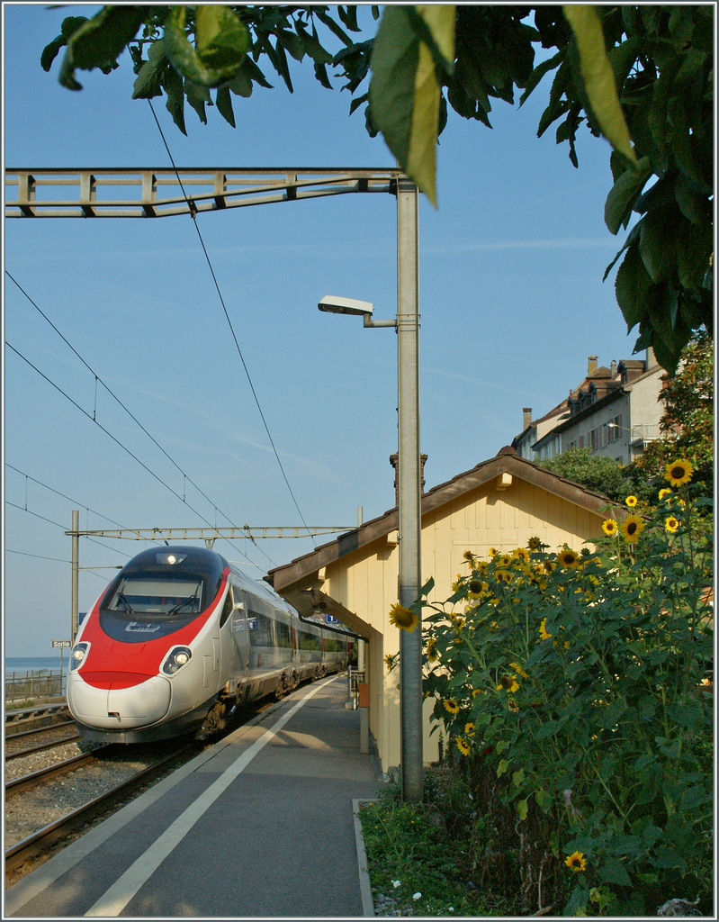 SBB ETR 610 als EC 37 auf der Fahrt nach Venezia bei der Durchfahrt in St-Saphorin. 
31. August 2013 
(1024px Variante) 