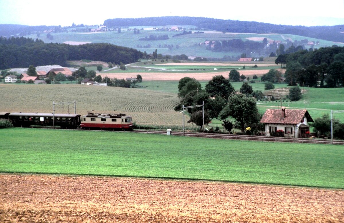SBB Re 4/4 II TEE bei Fribourg am 25.08.1984.