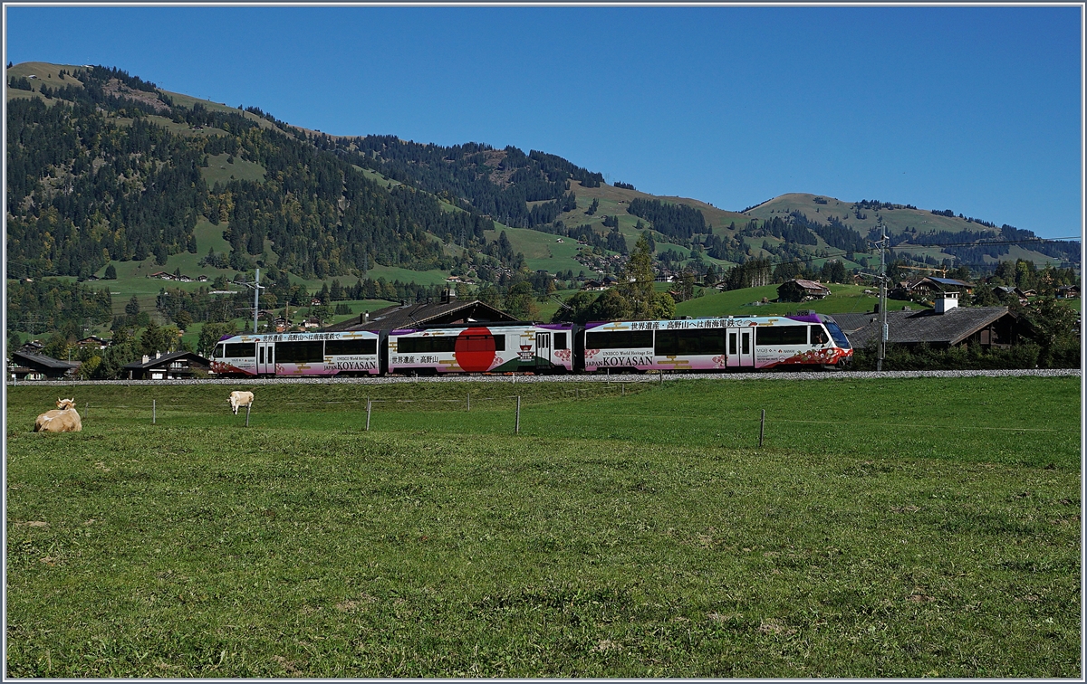 Seit 2017 sind die Montreux-Oberland Bernoise Railway und die Nankai Electric Railway  Sister Railways, was immer dies auch bedeuten mag, neben Aufklebern auf Alpina Triebwagen und einem grossen Werbebanner in Montreux zeigt sich die  Sister Railway  Philosophie in der Farbgebung des  Lenkerpendels  ABt 342 - Be 4/4 5002 - Bt 242, welcher hier als Regionalzug 2418 von Rougemont nach Zweisimmen zwischen Saanen und Gstaad unterwegs ist.
 5. Okt. 2018