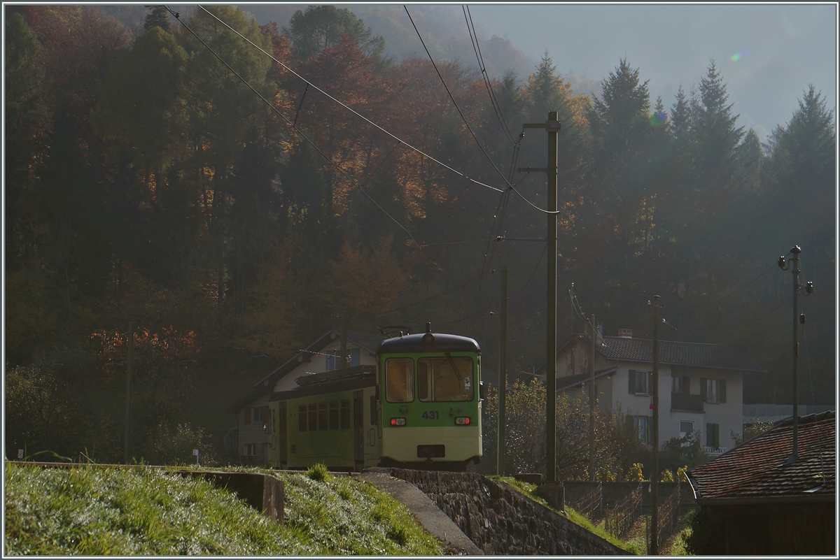 Spät-Herbst Stimmung auf der ASD, oberhalb von Aigle. 
4. Nov. 2015