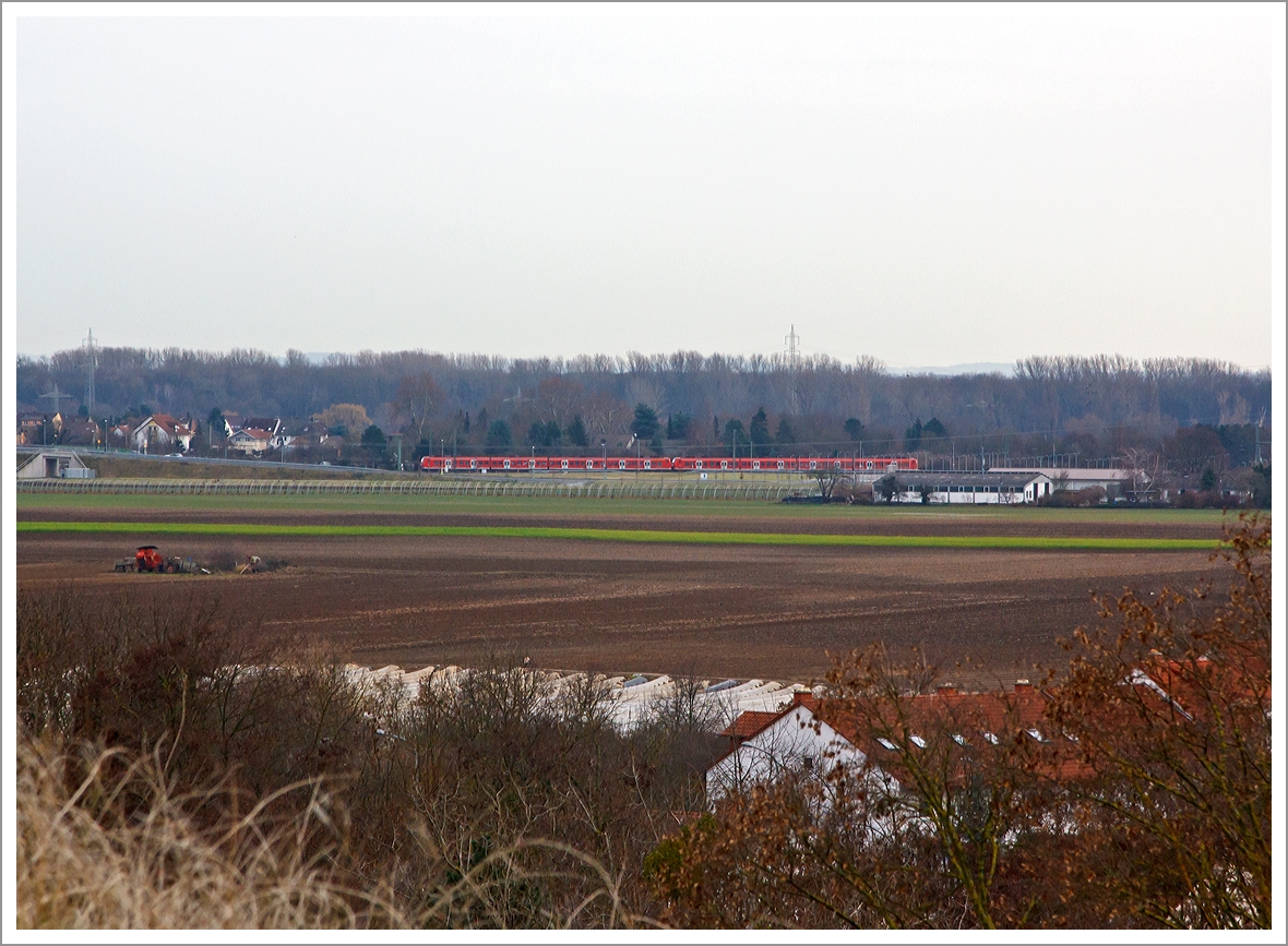 Zwei gekupelte Triebz�ge der BR 425 erreichen gleich den Bahnhof Limburger Hof, hier am 03.01.2014 aufgenommen vom Michaelsberg in LU-Maudach.