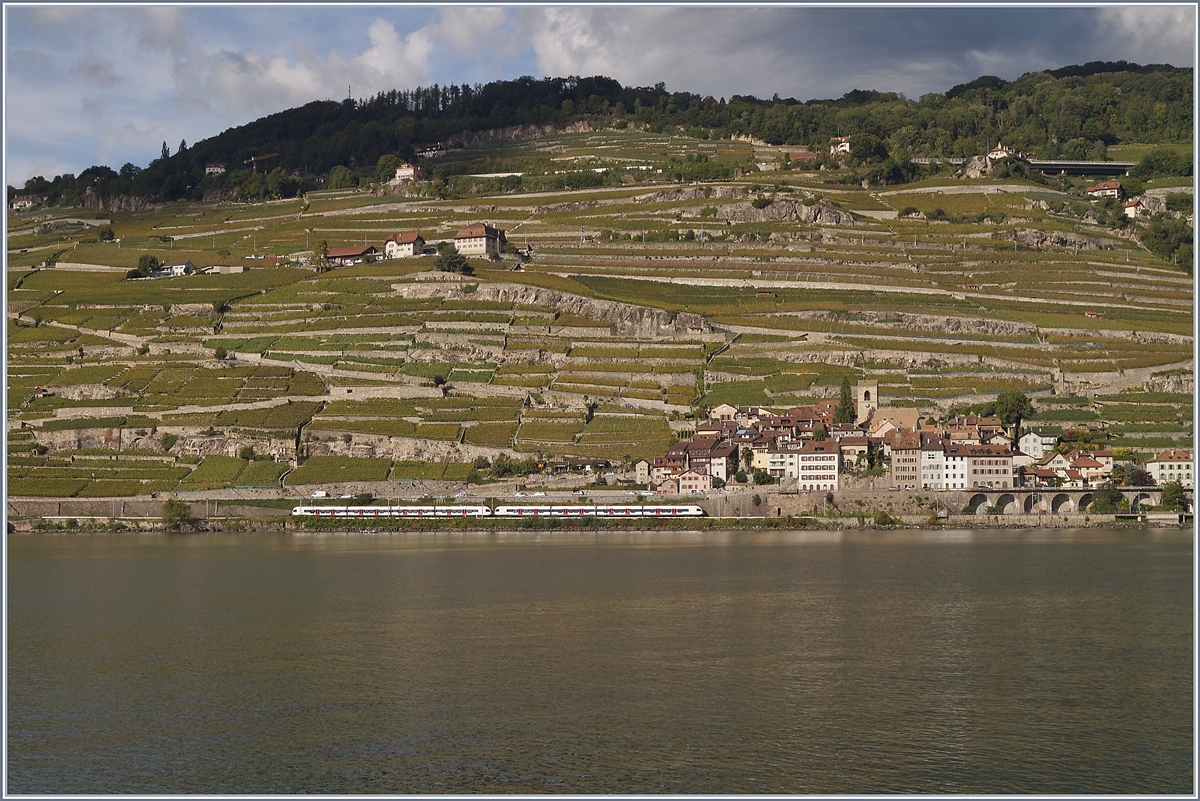 Zwei SBB Flirts (RABe 523) bei St-Saphorin auf dem Weg Richtung Vevey.-

1. Okt. 2019