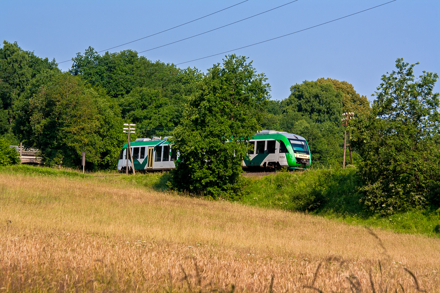 Der VT 255 (95 80 0648 155-9 D-VCT / 95 80 0648 655-8 D-VCT), ein Alstom Coradia LINT 41, der damaligen vectus Verkehrsgesellschaft mbH, fährt am 09 Juli 2013 bei Nistertal, als RB 28  Oberwesterwaldbahn  von Westerburg über Altenkirchen nach Au/Sieg. 

Damals wurde die Linie noch als RB 28 geführt, mit dem Fahrplanwechsel am 14.12.2014 wurde Linie zur RB 90 „Westerwald-Sieg-Bahn“ und zwischen Siegen über Au/Sieg und Altenkirchen nach Limburg/Lahn durchgebunden.

Auch den Triebwagen gibt es in dieser Farbgebung nicht mehr, der Triebwagen wurde 2004 von der Alstom LHB GmbH (vormals LHB - Linke-Hofmann-Busch GmbH) in Salzgitter-Watenstedt unter der Fabriknummer 1188-005 für die vectus Verkehrsgesellschaft mbH gebaut, mit dem Fahrplanwechsel am 14.12.2014 wurden alle Fahrzeuge der vectus nun Eigentum der HLB, wo er heute noch (als VT 255 - 95 80 0648 155-9 D-HEB / 95 80 0648 655-8 D-HEB) im Einsatz ist.

Zur LHB – Linke-Hofmann-Busch GmbH:
Die Linke-Hofmann-Busch GmbH (LHB) war bis Anfang der 1990er Jahre Teil der Salzgitter-Gruppe. 1994 kaufte die GEC-Alsthom 51% der Anteile der LHB. Der Konzern wurde 1998 in Alstom LHB umbenannt. Seit April 2009 firmiert das Unternehmen als Alstom Transport Deutschland GmbH – der Name Linke-Hofmann-Busch ist somit nach 170 Jahren Unternehmensgeschichte verschwunden, die Adresse Linke-Hofmann-Busch-Straße 1 in Salzgitter erinnert noch an die Geschichte der Firma an diesem Standort.

